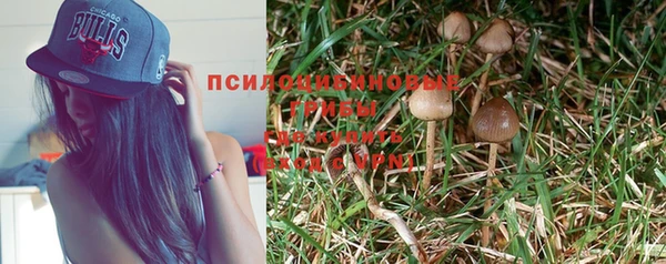 мяу мяу мука Аркадак