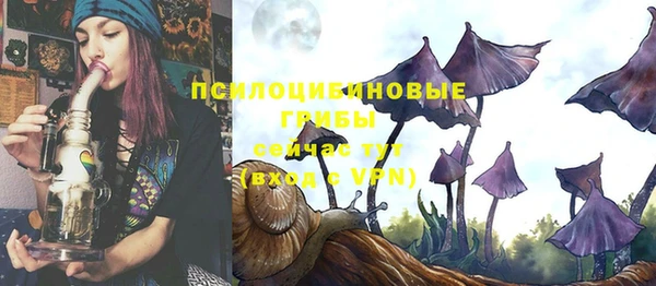 ешки Дмитров