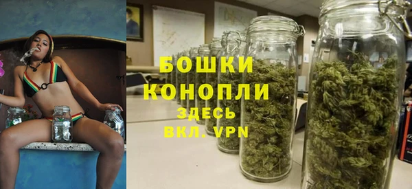 ГАЛЛЮЦИНОГЕННЫЕ ГРИБЫ Вяземский